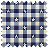 Whaley Great, Gingham Star Shore - Roman Blind